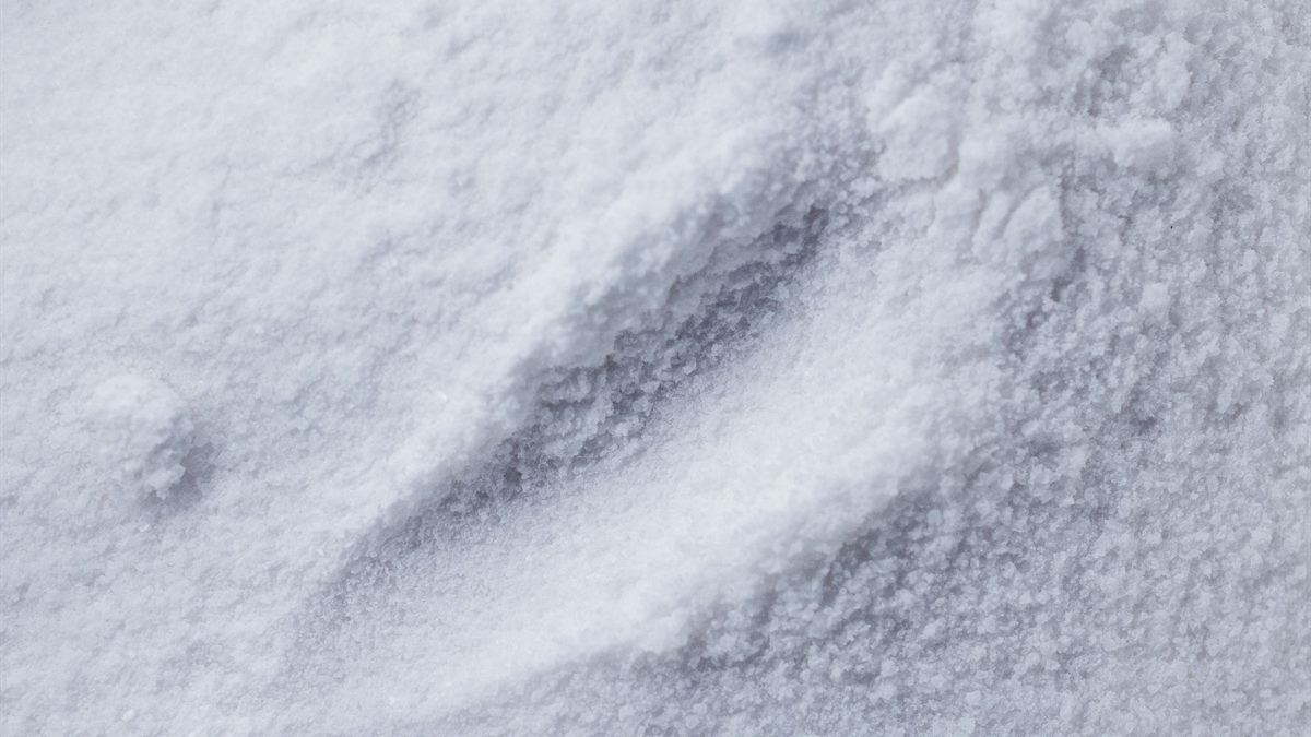 Class F vs Class C Fly Ash: Which Grade Does Your Mix Actually Need?